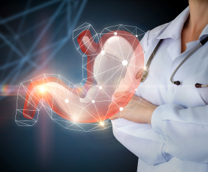 Supports Kidney Function 
